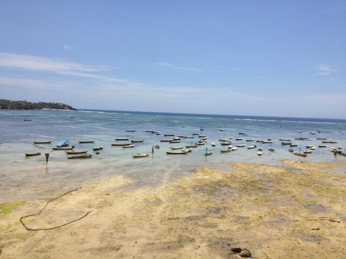 Lembongan Hostel Nusa Lembongan Kültér fotó